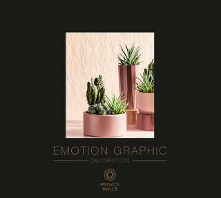 Wallpaper Collection «Emotion Graphic» by «Private Walls»: Wallpaper Item 39; Interior Views 39