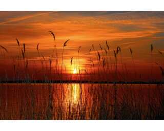 Livingwalls Fototapete «Sunset at the lake» 036570