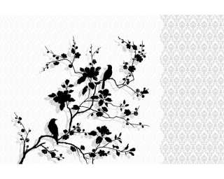 Livingwalls Fototapete «Branches with birds sw» 036850