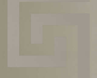 Versace Home non-woven wallpaper «Graphics, Beige, Gold, Grey, Metallic» 386092