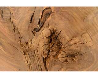 Architects Paper Photo wallpaper «Log of wood» 470428