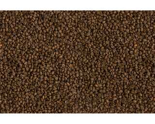 Architects Paper Photo wallpaper «Brown Beans» 470445