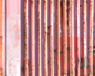 Architects Paper Photo wallpaper «Container rot» DD101718