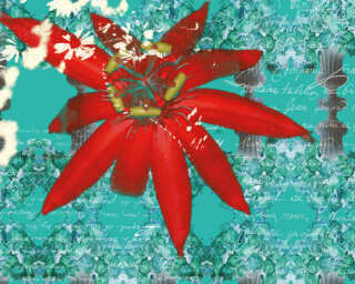 Architects Paper impression numérique «Rote Blume» DD105308