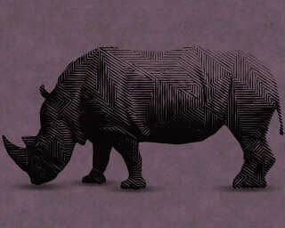 Kathrin und Mark Patel Photo wallpaper «rhino 2» DD110507