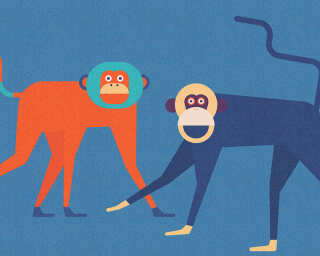 Kathrin und Mark Patel Photo wallpaper «monkeyBusines2» DD113819