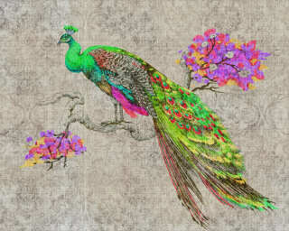 Kathrin und Mark Patel Photo wallpaper «peacock 1» DD114309