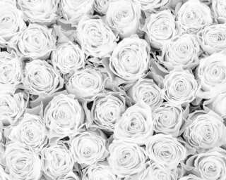 Livingwalls impression numérique «White Roses» DD115093