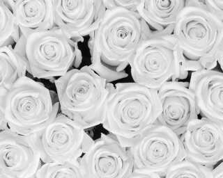 Livingwalls impression numérique «White Roses» DD115108