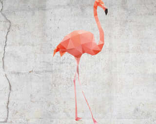 Livingwalls Fototapete «FlamingoConcrt» DD115565