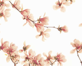 Livingwalls Fototapete «Pink blossom» DD119432