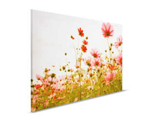 Livingwalls tableau sur toile «FlowerMeadow1» DD120288
