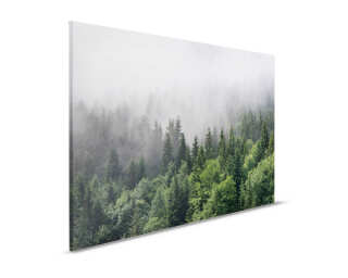 Livingwalls tableau sur toile «FoggyFirTrees» DD120291