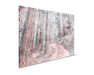 Livingwalls Canvas print «ForestWalk2» DD120305