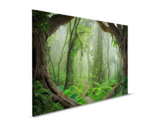 Livingwalls Canvas print «TropicalForest» DD120307