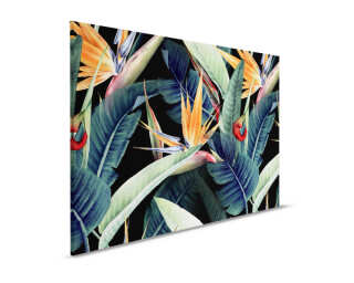 Livingwalls tableau sur toile «Rainforest» DD123840