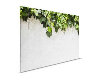 Livingwalls tableau sur toile «PlantOnWall» DD123861