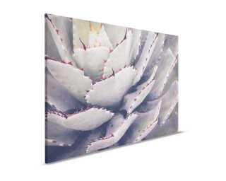 Livingwalls Leinwandbild «Cactusplant» DD123910