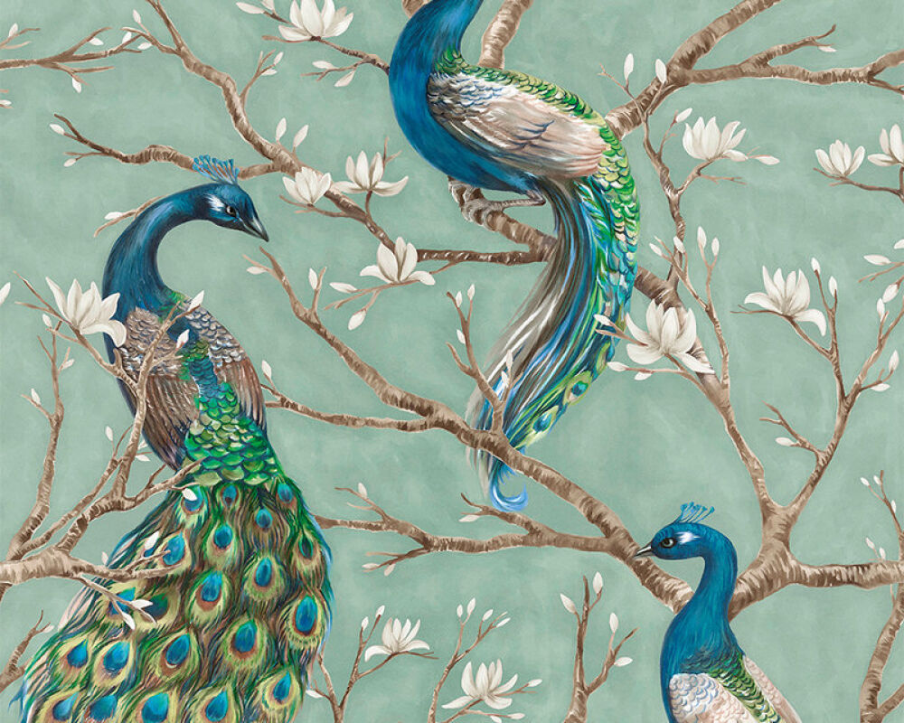 Photo wallpaper «Bird Turqousie» DD114648