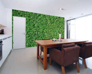 Architects Paper Photo wallpaper DD108835