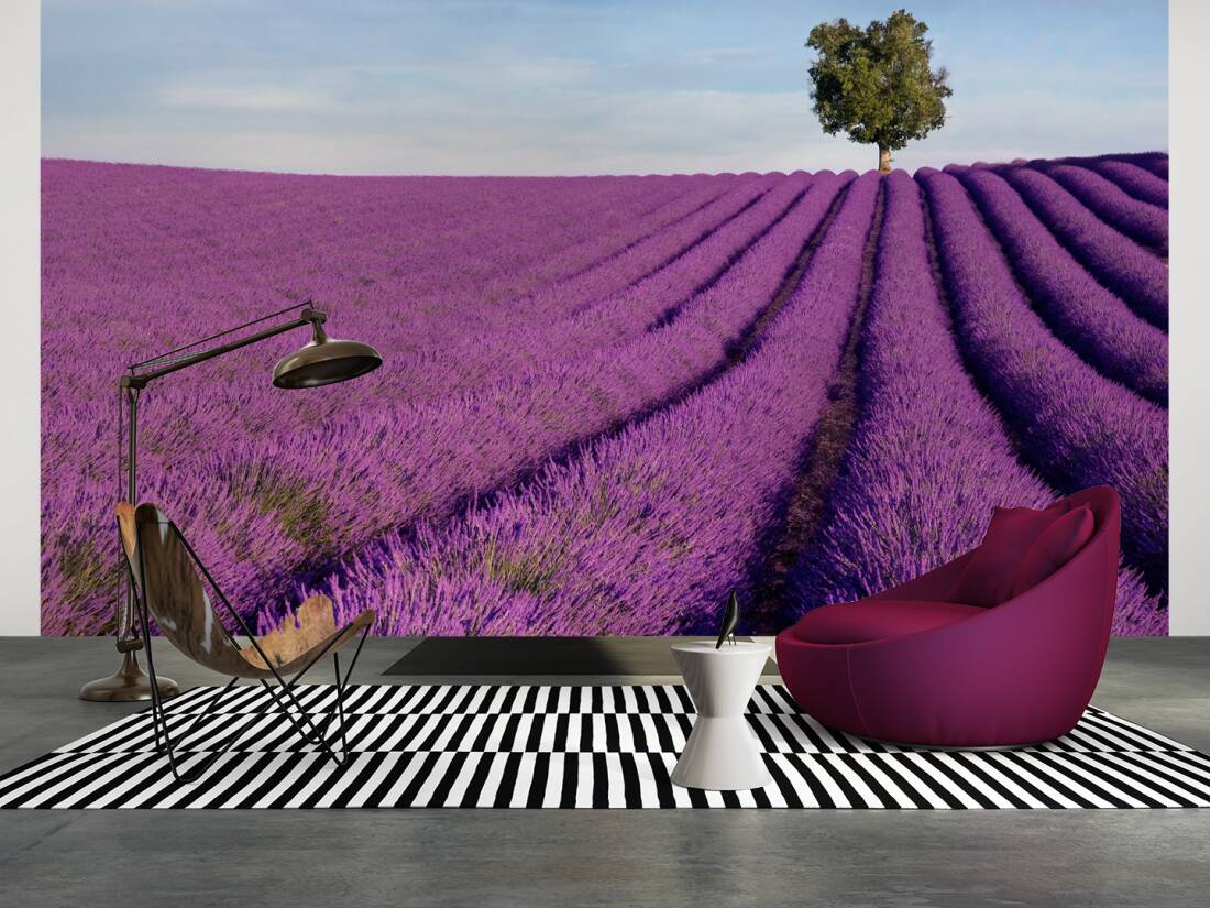 Non woven Wall Mural Photo Wallpaper Poster Picture Image Lavender field 