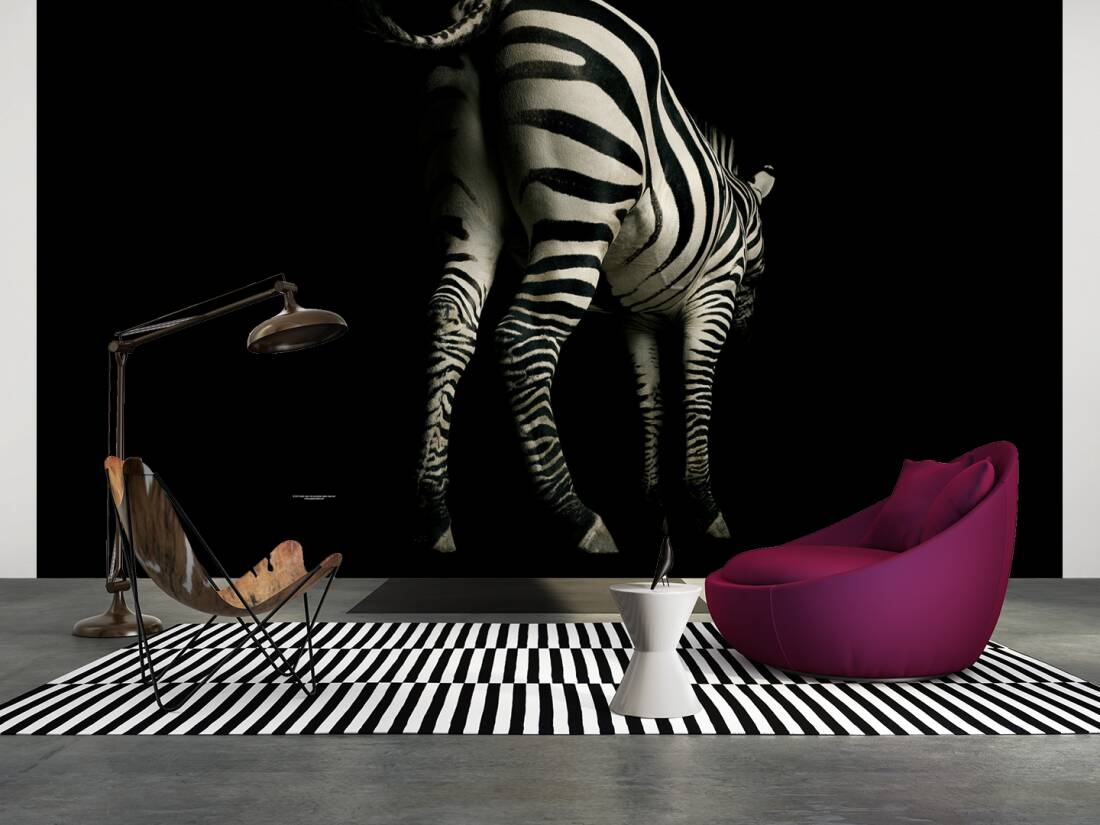 Fototapete Zebra 