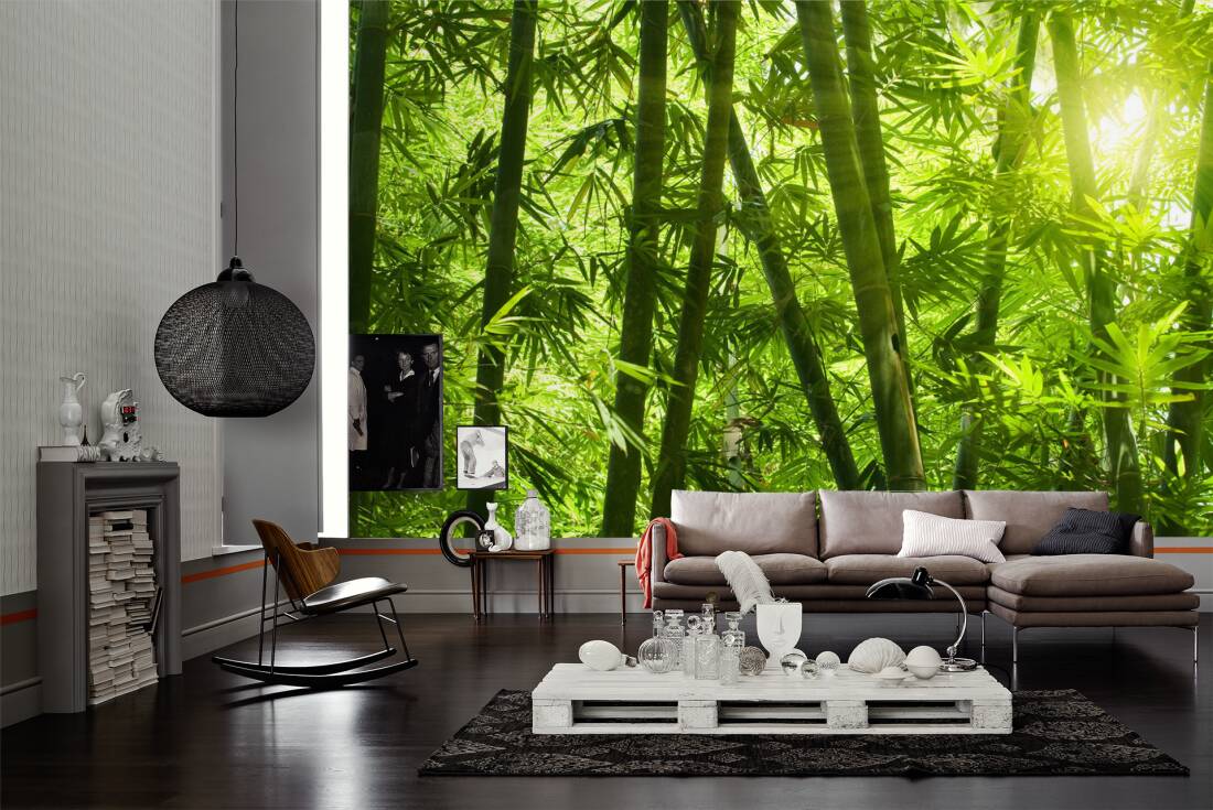 Non woven Wall Mural Photo Wallpaper Poster Picture Image Bamboo Green 